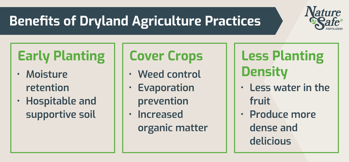 Dryland Farming What It Is And Why Its Important Nature Safe